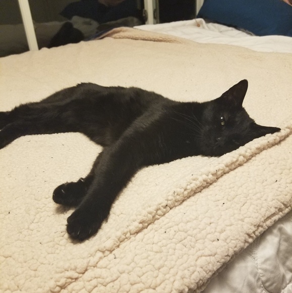 Meet your Posher, Amanda - Picture 1 of 1